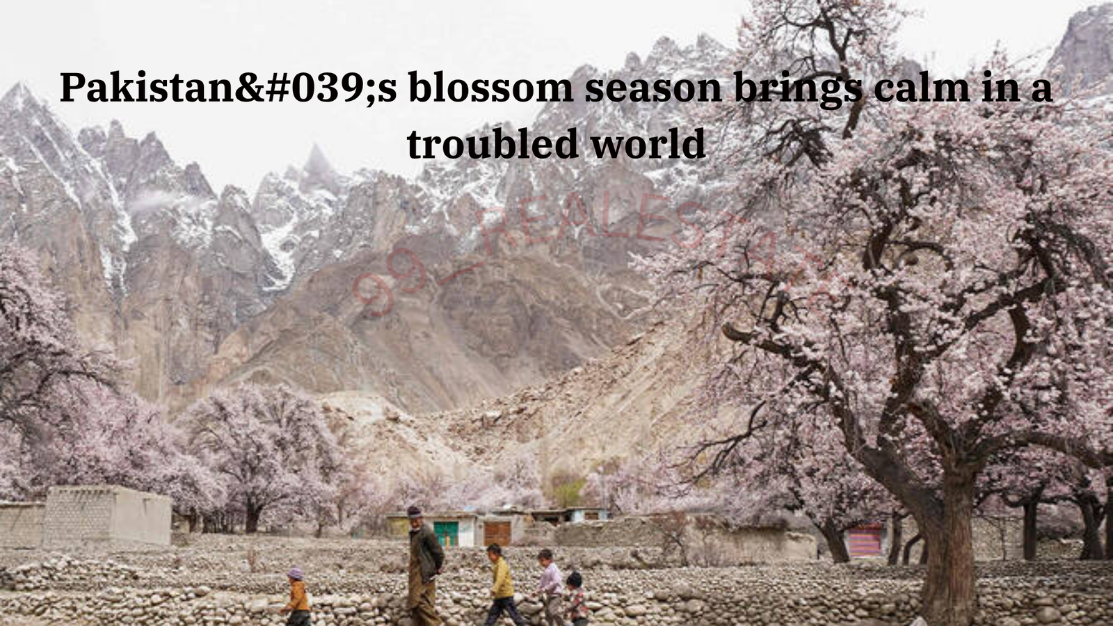 Pakistan's blossom season brings calm in a troubled world